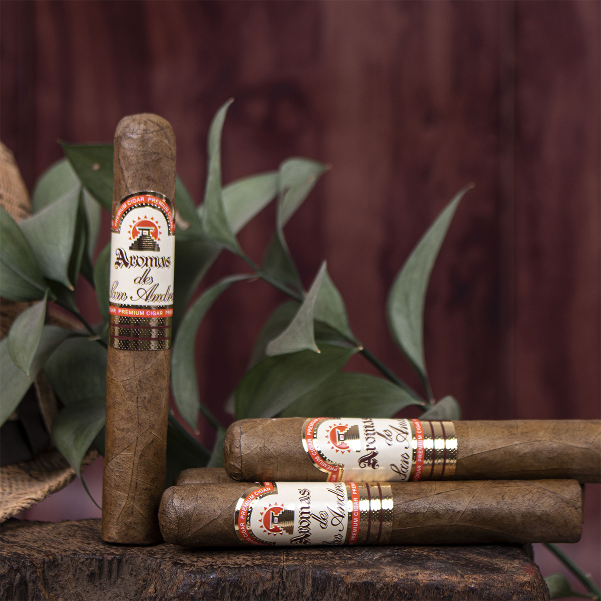 Aromas de San Andres